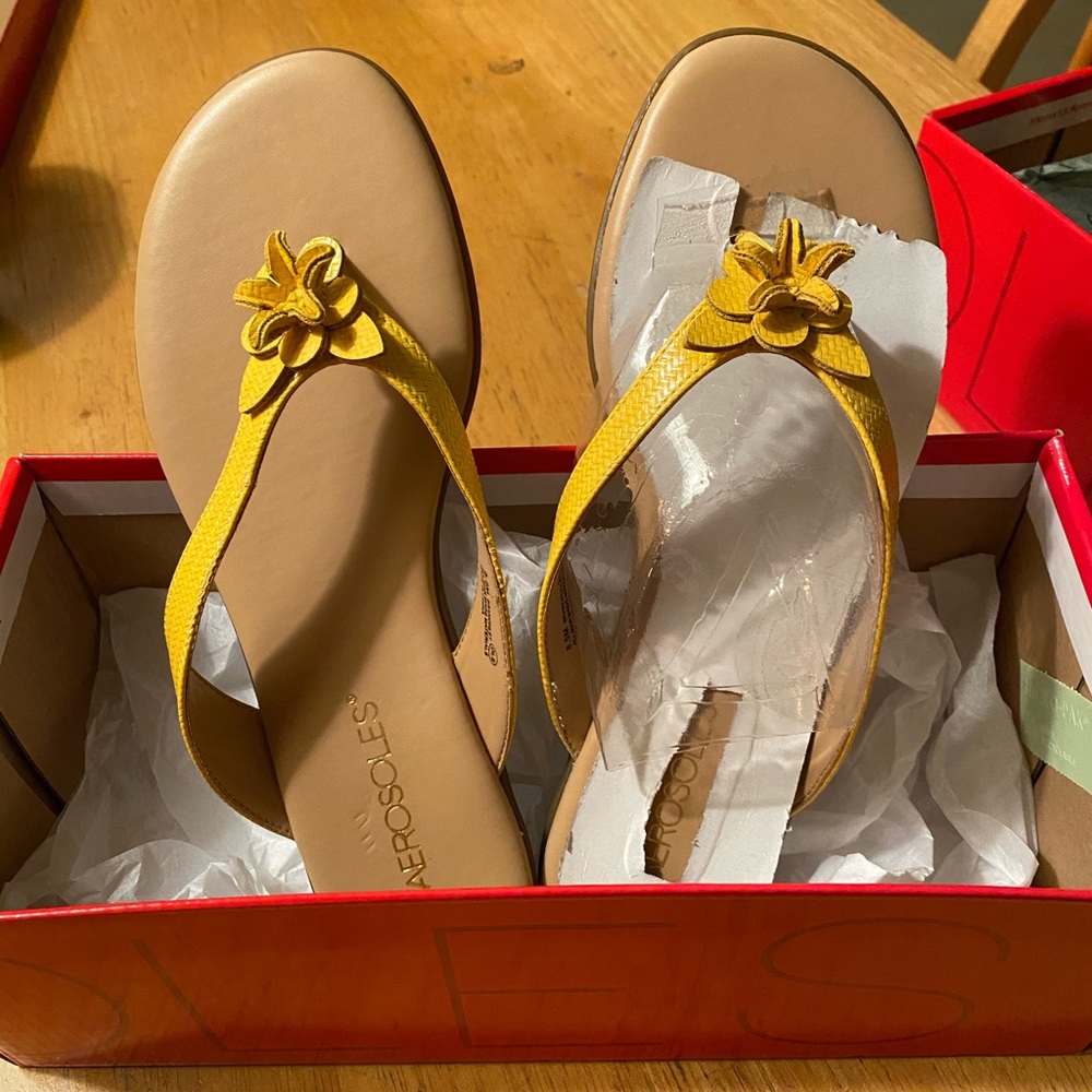 AEROSOLES Flip Flops. BRAND NEW. NEVER WORN